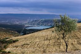 Image du Maroc Professionnelle de  Le Barrage Allal Al Fassi est situé dans la Province de Sefrou sur Oued Sebou avec un volume de stockage de 63.7 Mm3, il contrôle un bassin versant de 5.400 km2. Ce Barrage a été mis en service en 1990. But de l'ouvrage  production d'électricité, irrigation et protection contre les crues, Jeudi 8 septembre 2005. (Photo / Abdeljalil Bounhar)